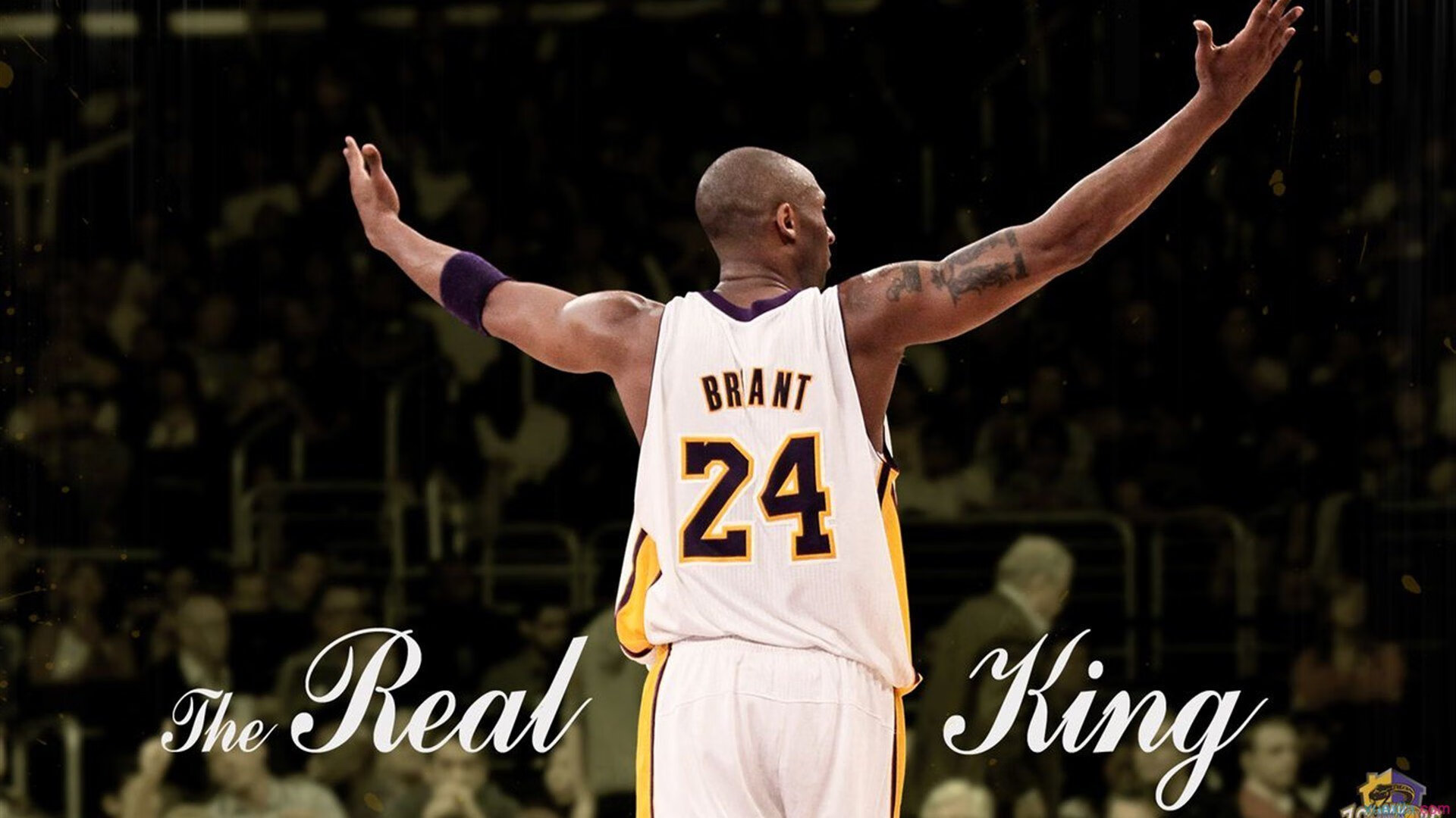 国家体育总局发布新政策 推动全民健身与竞技体育协同发展